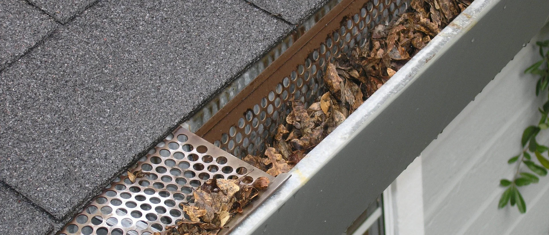 Are Gutter Guards Worth It? The Truth About Maintenance and Protection