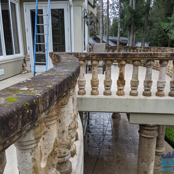 Residential Moss and Algae Removal