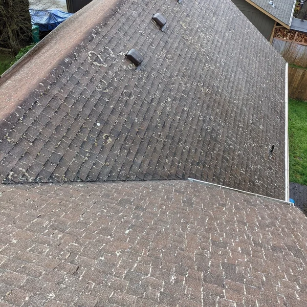 Dirty, algae-covered brown shingle roof before residential soft wash cleaning, showing moss and discoloration.