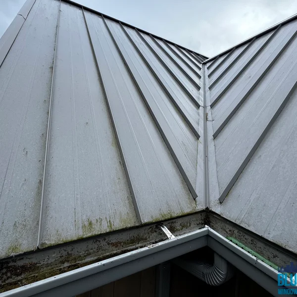 Mold and algae mar a gray metal roof before residential soft wash roof cleaning service.