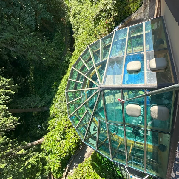 Residential window cleaning shows clear glass dome with view of trees.