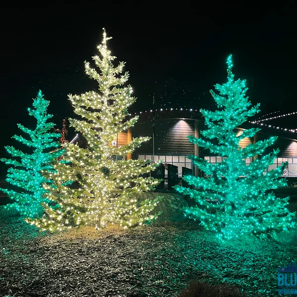 Commercial landscape features three decorative trees with white and green lighting for festive outdoor illumination.