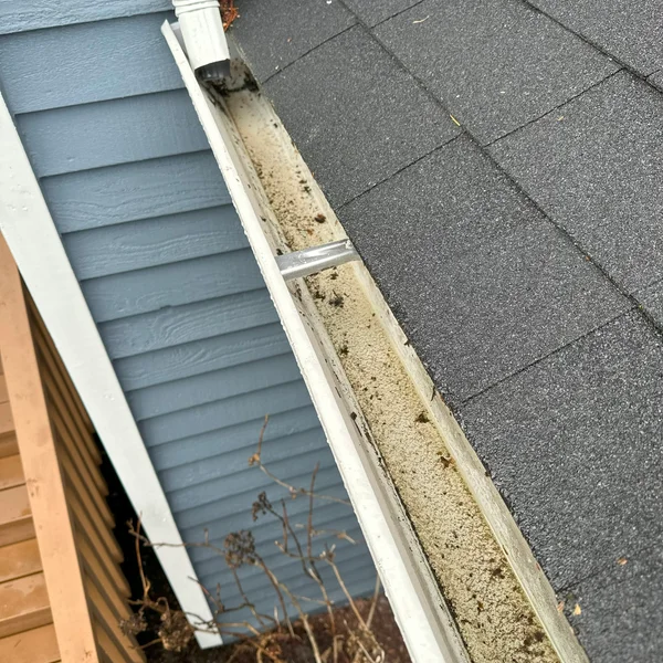 Gutter filled with debris and organic matter, showing need for professional gutter cleaning services.
