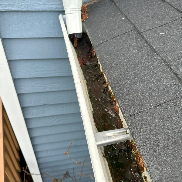 Clogged residential gutter filled with leaves and debris requires professional gutter cleaning service.
