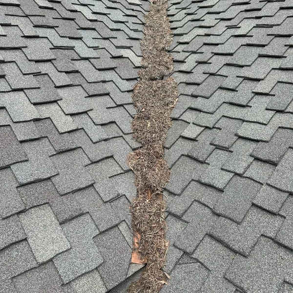 Gray shingle roof with gutters clogged with leaves and debris before professional gutter cleaning service.