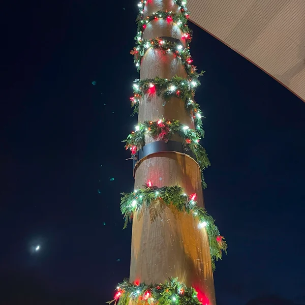 Commercial property shows pole wrapped with garland and holiday lights in the dark.