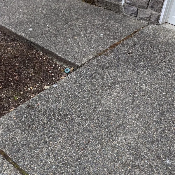 Dirty, textured concrete sidewalk needs pressure washing to remove grime and stains near a flower bed.