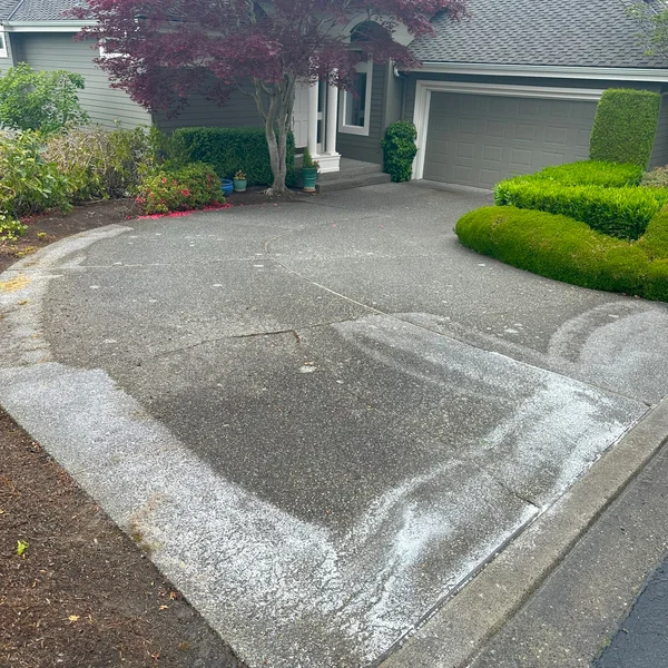 Concrete driveway shows areas cleaned with pressure washing, leaving a noticeable contrast against the gray surface.