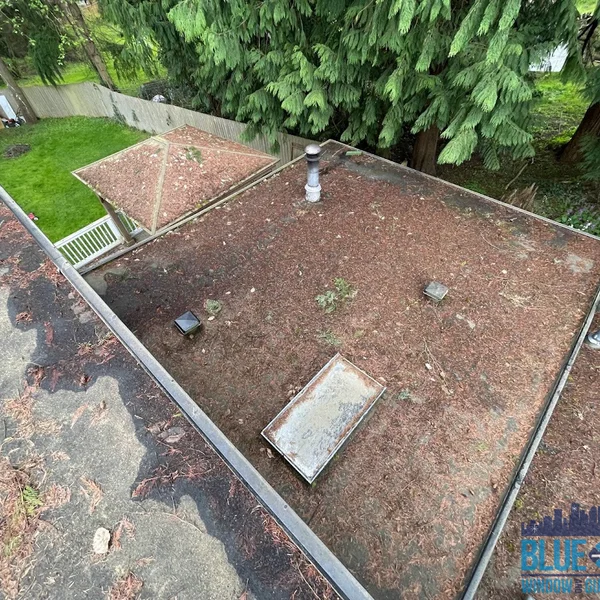 Residential flat roof covered in organic debris requires soft wash roof cleaning services.