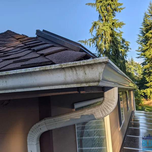 Residential gutter is heavily soiled and full of debris before professional cleaning and brightening.