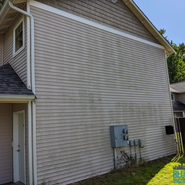 Tan siding on a home is visibly dirty with algae and moss requiring professional cleaning services.