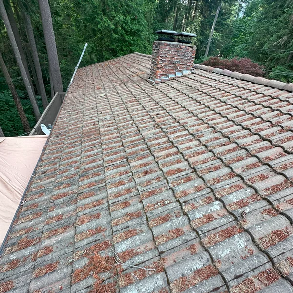 Moss, lichen, and debris cover a gray tile roof, needing soft wash cleaning; a brick chimney rises above.