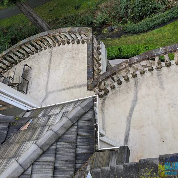 Residential roof with moss and algae, balcony with mildew, and gutter needing cleaning.