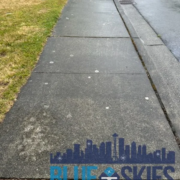 Dirty gray concrete sidewalk with gum and stains needs professional pressure washing services.