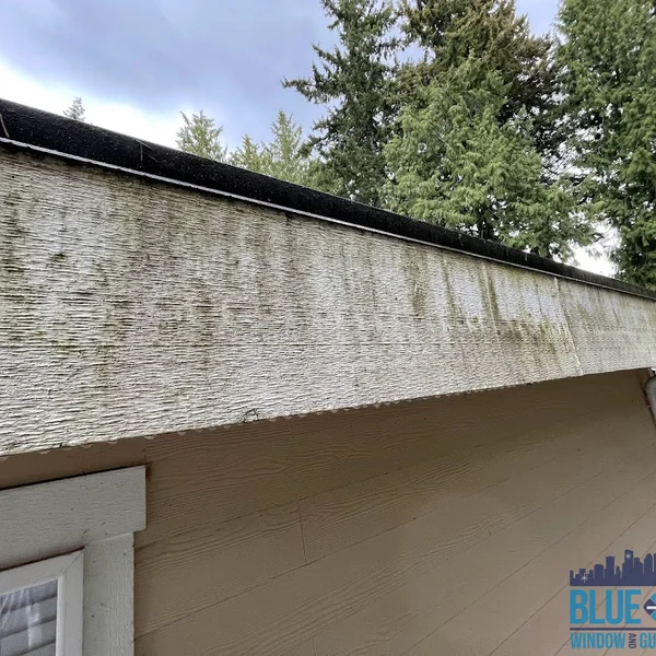Extremely dirty gutters needing brightening and cleaning services are covered in algae, moss, and dirt on a residential home.