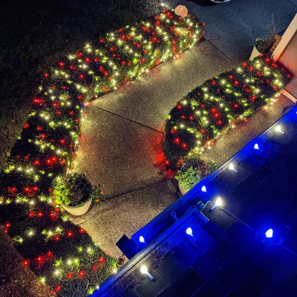 Red and white Christmas lights adorn bushes along a walkway, as blue lights accent the roofline.