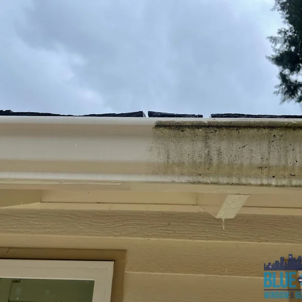 Residential Gutter Brightening & Gutter Cleaning