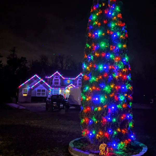 Home exterior boasts professional Christmas light installation, including roofline lights and a large decorated evergreen