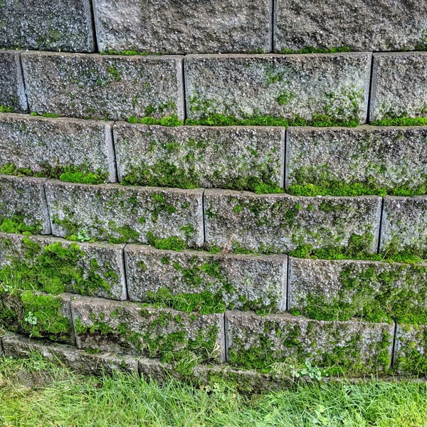 Residential retaining wall with green moss and algae growth needing professional soft wash cleaning services.