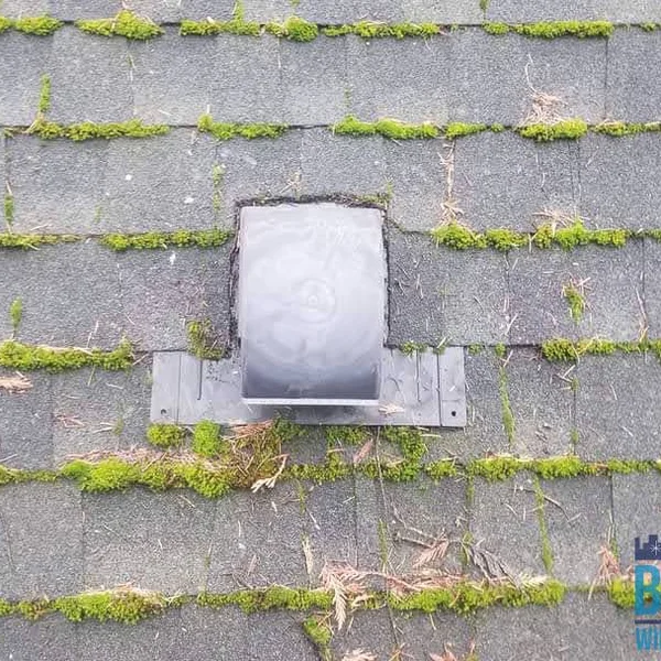 Moss and algae are growing on roof shingles around a silver roof vent, indicating a need for professional roof cleaning.
