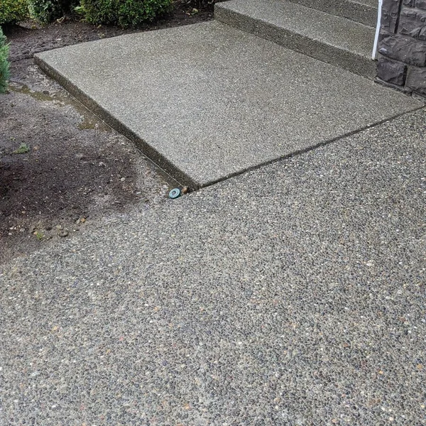 Concrete steps and sidewalk show the effectiveness of professional pressure washing services.