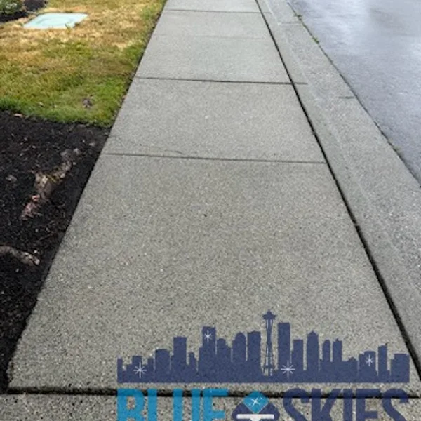 A cleaned concrete sidewalk shows the results of pressure washing services.