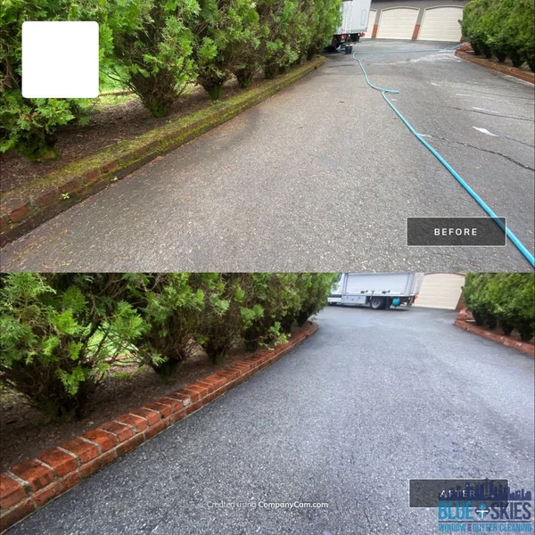 Driveway pressure washing before and after shows a dramatically cleaner surface by Blue Skies Window and Gutter Cleaning.
