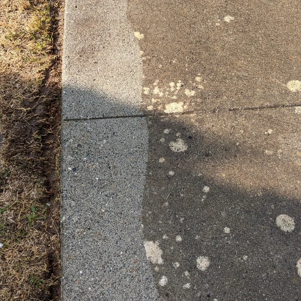 Concrete sidewalk is half-cleaned, showing the dramatic results of professional pressure washing services.