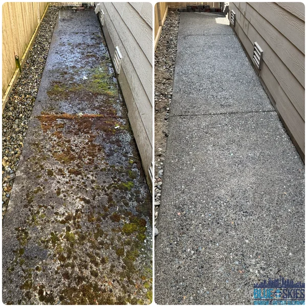Before and after pressure washing shows a sidewalk transformed from green with moss to clean, gray concrete.