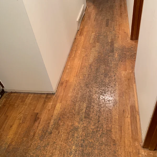 Worn hardwood flooring needs refinishing in a Seattle home hallway with white walls.