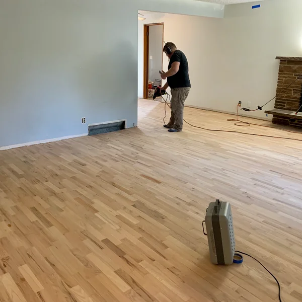 Contractor preps for a Seattle home renovation, sanding new light-colored hardwood flooring in a room with gray walls.