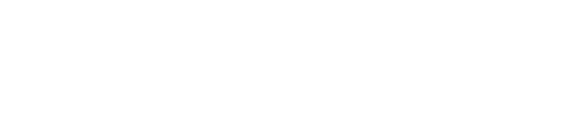 EnvySoft LLC