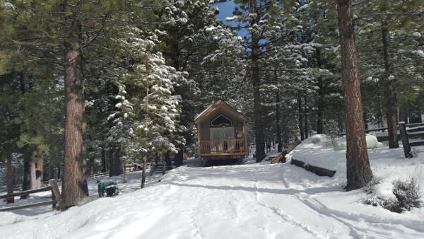 Plumas_Snow_Tiny_Houses_Tiny_Houses_for_Sale_Reliable_Home_Solutions.jpg