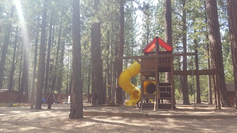 Kids_Playground_Tiny Houses_for_Sale_Tiny Houses_Reliable_Home_Solutions.jpg