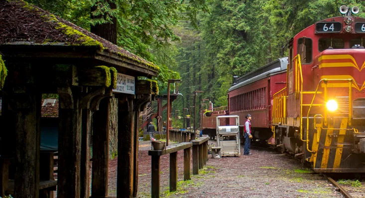 redwood-forest-train-station.png