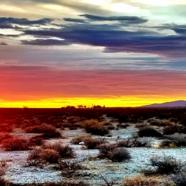 Springs at Boreggo RV Resort