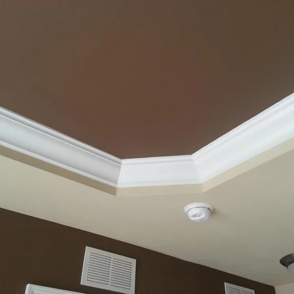 Interior view shows an ADU's brown accent wall and ceiling with white crown molding.