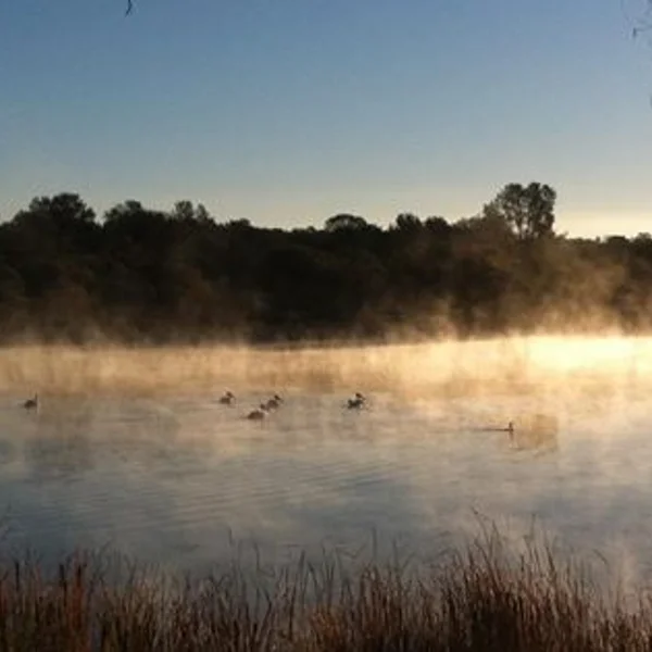 Lake Camanche - North Shore