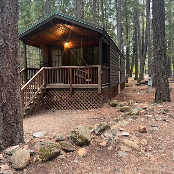 Rustic dark brown park model cabin with porch, nestled in a serene forest setting.