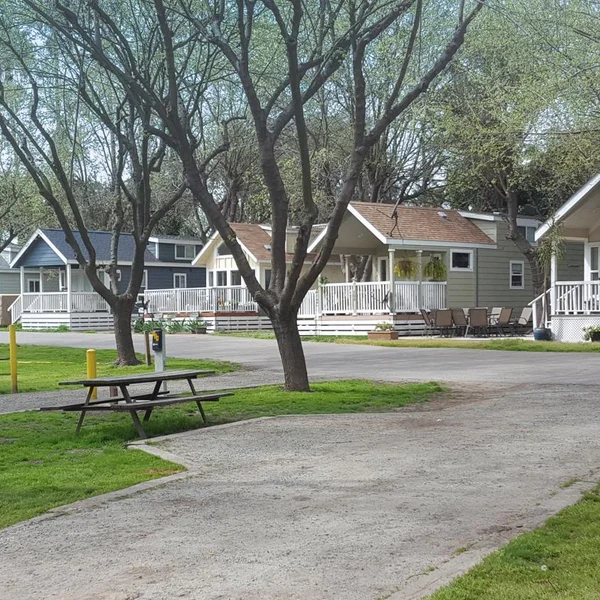 Several colorful park model homes sit in a gravel lot with green spaces and picnic tables.