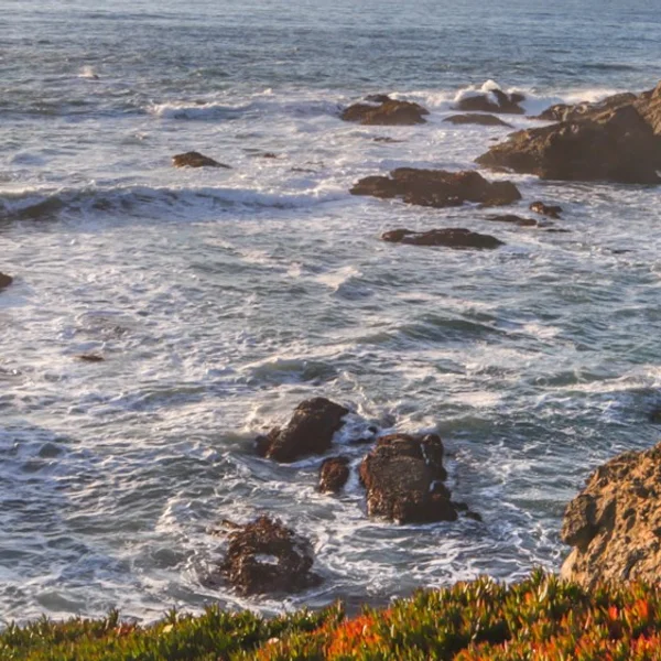 Sportsman's RV Park, in Noyo Harbor