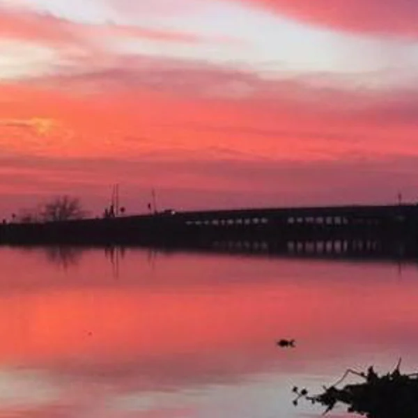 Park Delta Bay - When you want to be a part of the Delta