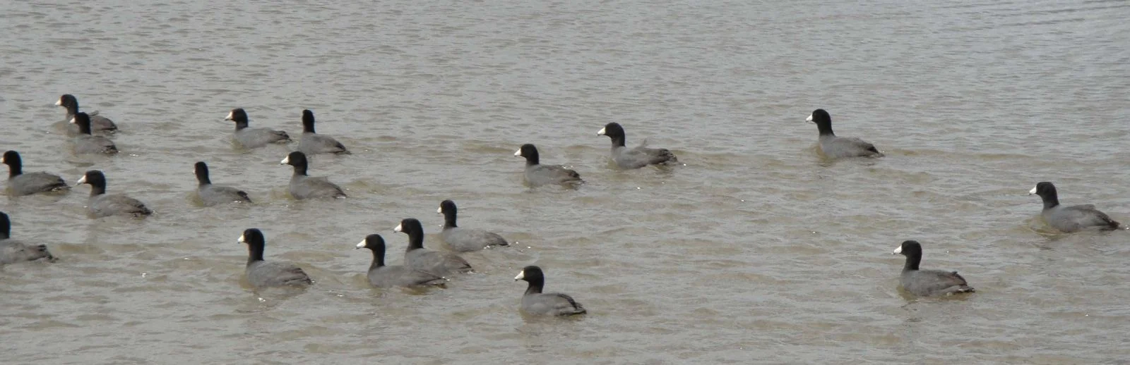 Windmill Cove Resort & Marina